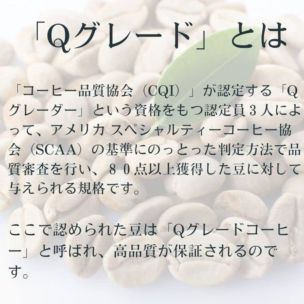 【タンザニア】ＡＡスノートップ  Ｑグレード コーヒー生豆 １０kg タンザニア AA スノートップ Qグレード｜コーヒー流通センター